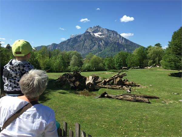 Hellbrunn zoo